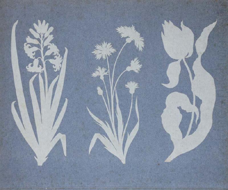 Hyacinth,Cornflower,Tulip, Philipp Otto Runge